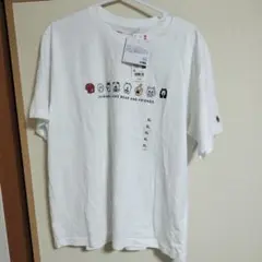 Item thumbnail for item 40d1cb2e-b98b-4311-b4a7-f42c9a6a8d51