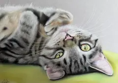 猫の絵◇猫◇新品 美品【水性絵具/パステル/色鉛筆】◇防水&丁寧梱包