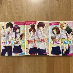 〖美品〗透明カバー付きHoneyWorks小説セット HoneyWorks 小説セット - メルカリ