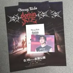 Stray Kids 映画dominATE入場特典 チャンビン