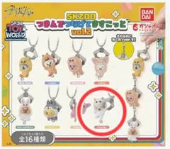 SKZOO つまんでつなげてますこっと vol.2　Foxl.Ny