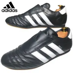 adidas アディダス　テコンドー　24cm 日本未入荷　イエロー　テック系 adidas adidas TAEKWONDO W SILVER METALLIC/CORE BLACK/GUM