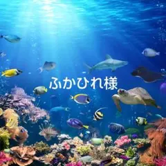 ゆうパケット発送 ふかひれ様 リクエスト 7点 まとめ商品