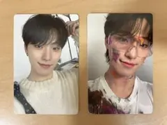 Face the sun carat盤 トレカ ディノ