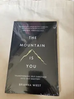 THE MOUNTAIN IS YOU / BRIANNA WIEST