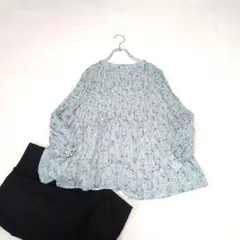 【any SiS/エニィスィス】シアーボタニカルフラワーブラウス『2』グリーン系