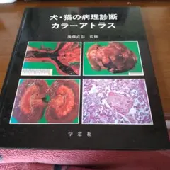 裁断済】カラーアトラスBOOKS 犬と猫の皮膚病 - メルカリ