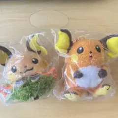 韓国限定 ポケモン ポップアップ ヘアピン スマートトック セット