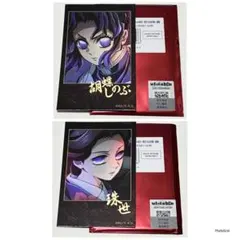 鬼滅の刃 ティザービジュアル第1弾 チェキ風ブロマイド 時透無一郎