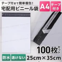 Item thumbnail for item 2ad941d2-36f2-4b9c-aae3-2034af179236