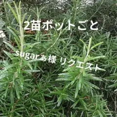 sugarぁ様 リクエスト 3点 まとめ商品