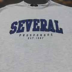PLYMTONE 半袖Tシャツ グレー カレッジロゴ　Lサイズのサムネイル
