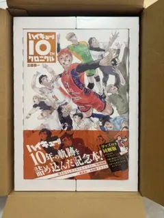 2026年最新】ハイキュー!! 10thクロニクル グッズ付き同梱版 未開封