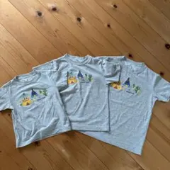 Item thumbnail for item a5312419-3e90-4f63-a5f2-b01ed306842c