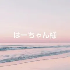 はーちゃん様 リクエスト 5点 まとめ商品