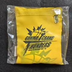 群馬 クレインサンダース エコバッグ B.LEAGUE バスケのサムネイル