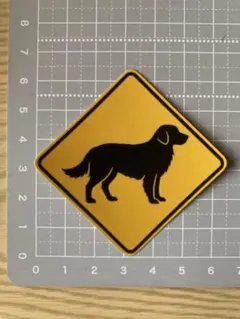 Item thumbnail for item a77609ae-c4ca-4419-a503-95523766a995