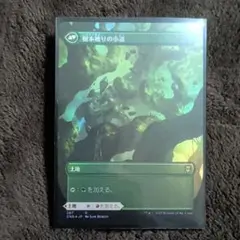 岩山被りの小道 樹木被りの小道　ボーダーレスfoil