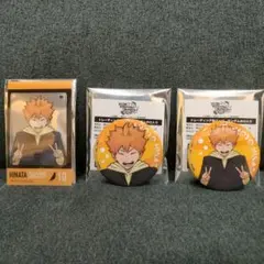 日向翔陽 缶バッジ、クリアカードセット