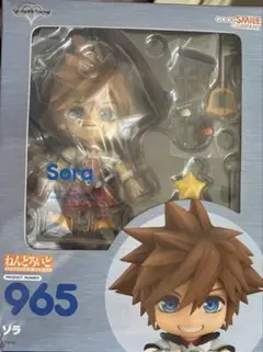 キングダムハーツ　ソラ コスプレ　ウィッグ　カットセット済み　完成品 キングダムハーツ ソラ コスプレ ウィッグ カットセット済み 完成品