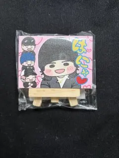 新品未開封 MAZZEL ミニキャンバス ラン
