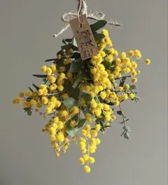 きょう様専用　ミモザ　ミニブーケ　スワッグ　ドライフラワー