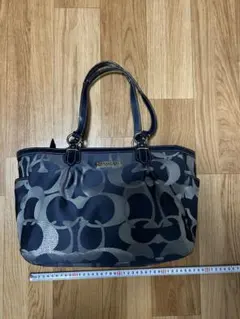 Item thumbnail for item db14b392-de96-49e9-ae91-3f03dad7fa7a