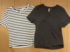 Ｈ&M リブtシャツ　Ｍサイズ　2点セット