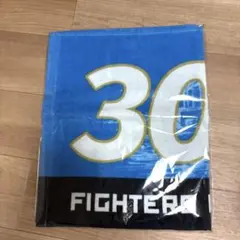 北海道日本ハムファイターズ FAV限定30回来ました！タオル　2026年新品のサムネイル