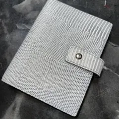 Item thumbnail for item 3e676044-44ca-4dba-a13e-74514c469405