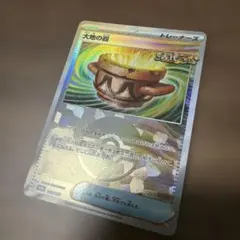 大地の器　モンスターボールミラー