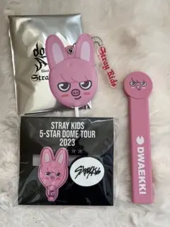 straykids チャンビン