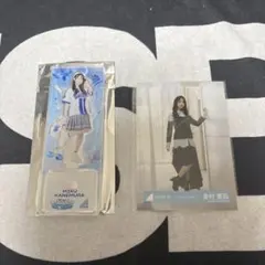 日向坂46 小坂菜緒 アクリルスタンド 横浜DeNAベイスターズ - メルカリ