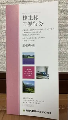 【最新版】東急不動産ホールディングス株主優待券【1000～5000株未満】