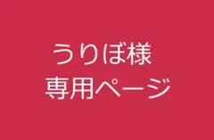 うりぼ様　専用　11月①