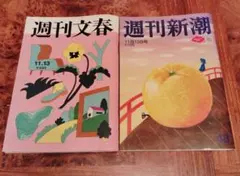 週刊誌２点セット