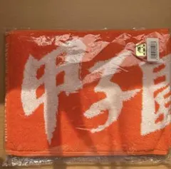 甲子園　カラーマフラータオル　オレンジ