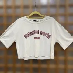 レディースＴシャツ
