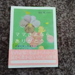 Item thumbnail for item 22530e42-d32c-4e2f-a458-915766f25d03