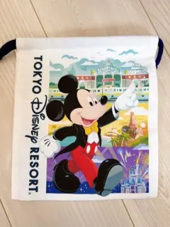 ディズニーショッパー巾着袋