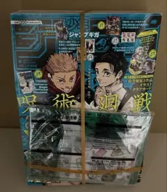 少年ジャンプGIGA SUMMER 2024 呪術廻戦 雑誌付録全完備