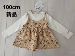 Item thumbnail for item e1fef9b6-ba78-43c6-8179-83e20c19bffb