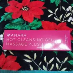 Item thumbnail for item 6a1659c1-949f-47fe-9a86-15aafe39f563