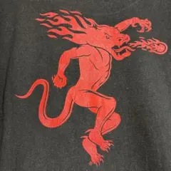 Hanes ブラック Tシャツ XLTG/XG WTF