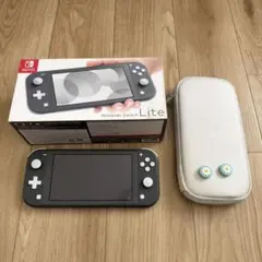 Nintendo Switch Lite グレー 箱あり ケース付き