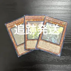 遊戯王 青眼の亜白龍 ホログラフィックレア3枚セット - メルカリ