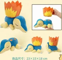 海外ポケモンセンター限定 ヒノアラシ マグマラシ ぬいぐるみ 3点