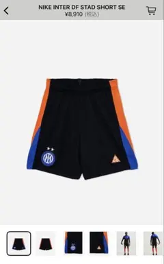 値下げ〜6/13 17時まで]ナイキACG✖️インテルミラノ コラボ