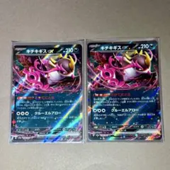 【新品】 キチキギスex 2枚セット