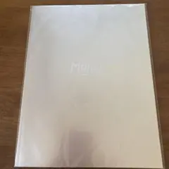 Snow Man LIVEパンフレット Mania